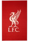 Kép 1/4 - LIVERPOOL szőnyeg