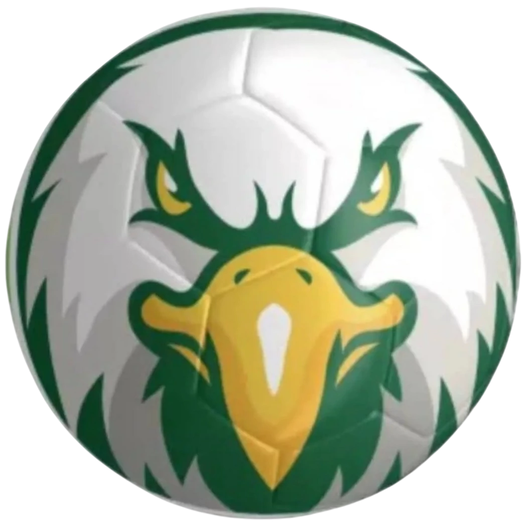 Kép 1/3 - FRADI labda sas