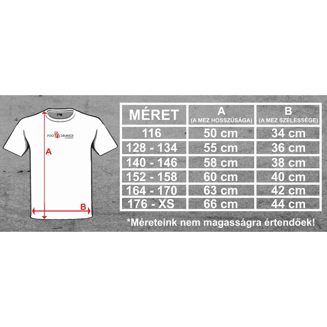 Kép 2/2 - BRAZIL VÁLOGATOTT - Neymar JR. szurkolói gyerek mez szett